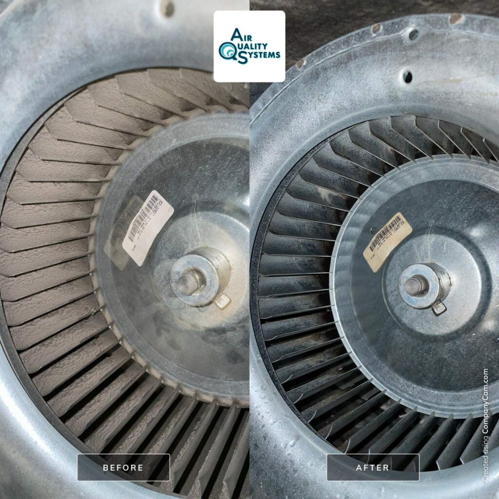 Before and after comparison of dirty and clean HVAC blower wheels, demonstrating thorough duct cleaning results.